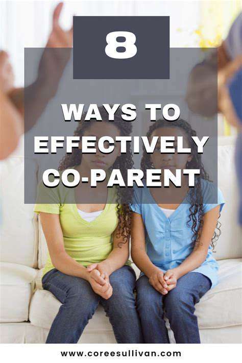 ex relationship harmony post divorce guide