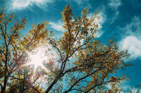 RediscoverYourIdentity:ReclaimingYourPre-RelationshipSelf