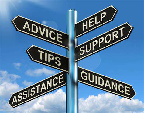 SeekingProfessionalGuidance:ANecessarySupportSystem