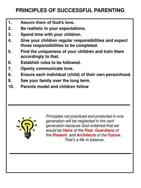 DefiningtheCorePrinciplesofaSuccessfulCo-ParentingPlan