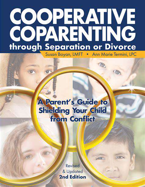 DevelopingaCooperativeParentingPlan:BeyondtheBasics
