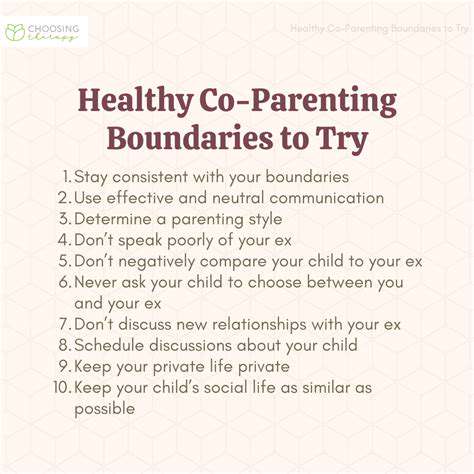 NavigatingCo-ParentingDynamics:EstablishingHealthyBoundaries