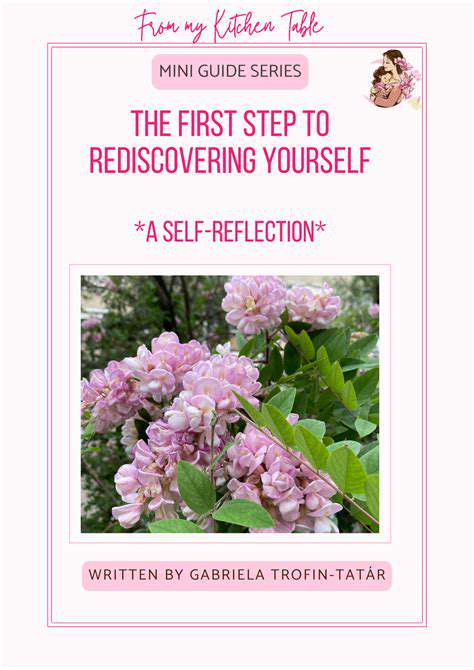 guide to emotional recovery post divorce